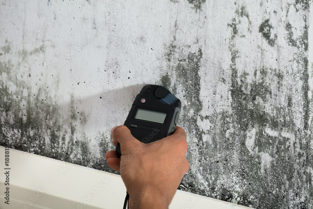 Why Mold Testing Is Important 9 Mold & Air Quality Testing